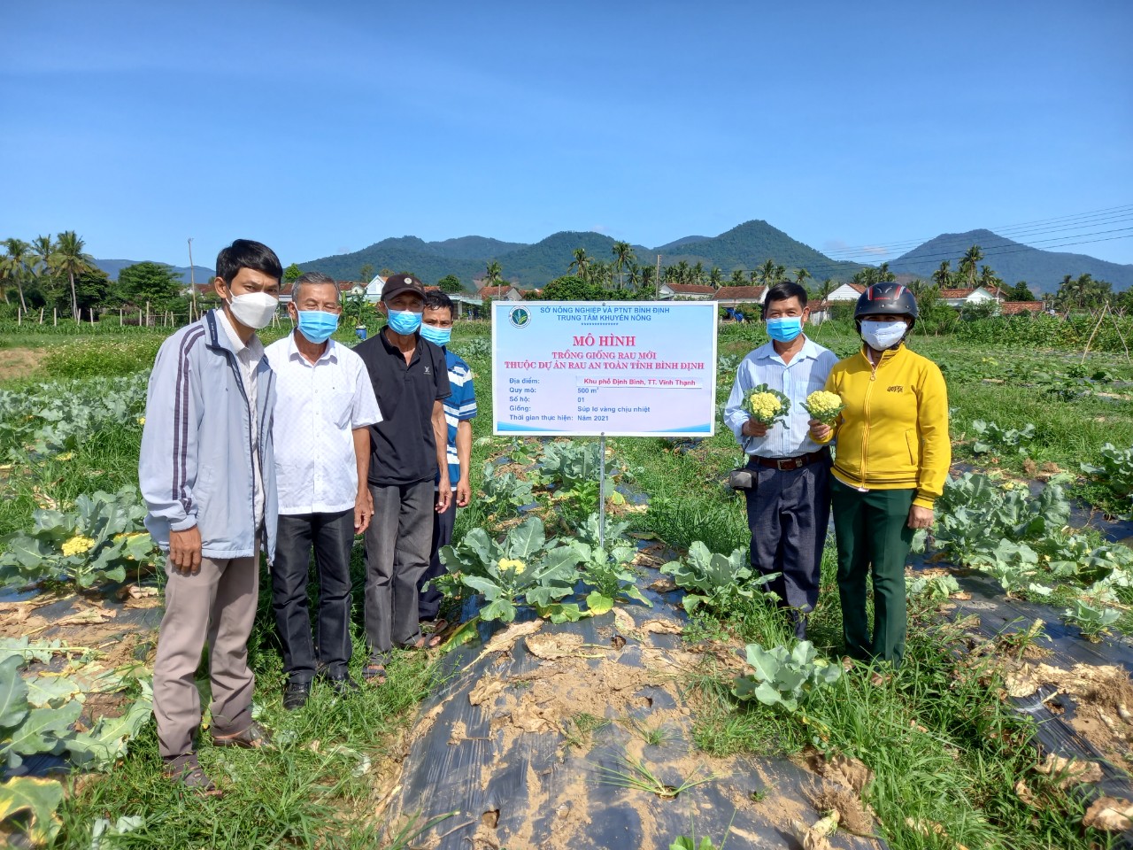 Trung tâm Khuyến nông Bình Định: Khảo nghiệm thành công các giống rau ăn lá