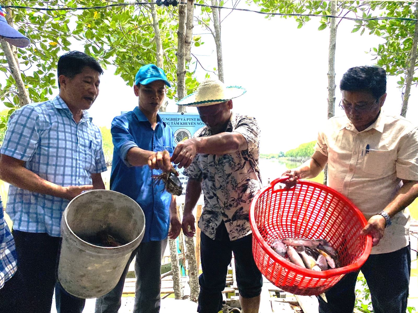 Hiệu quả mô hình nuôi tổng hợp các loài thủy sản dưới tán cây ngập mặn kết hợp phát triển du lịch sinh thái