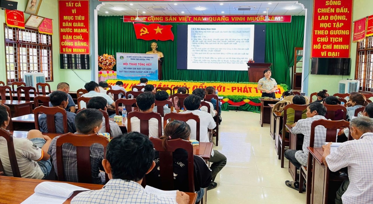 Tổng kết mô hình sản xuất hành VietGAP tại xã Cát Tài